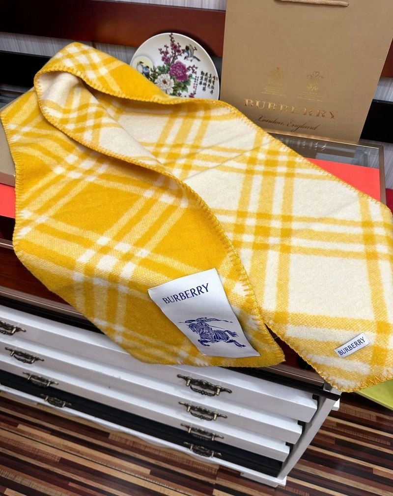 Burberry Scarf Attractive 271337