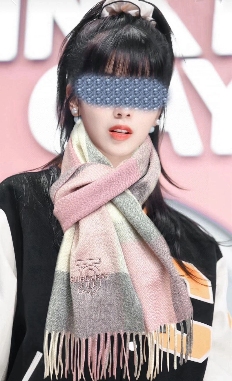 Compact Burberry Scarf 271349