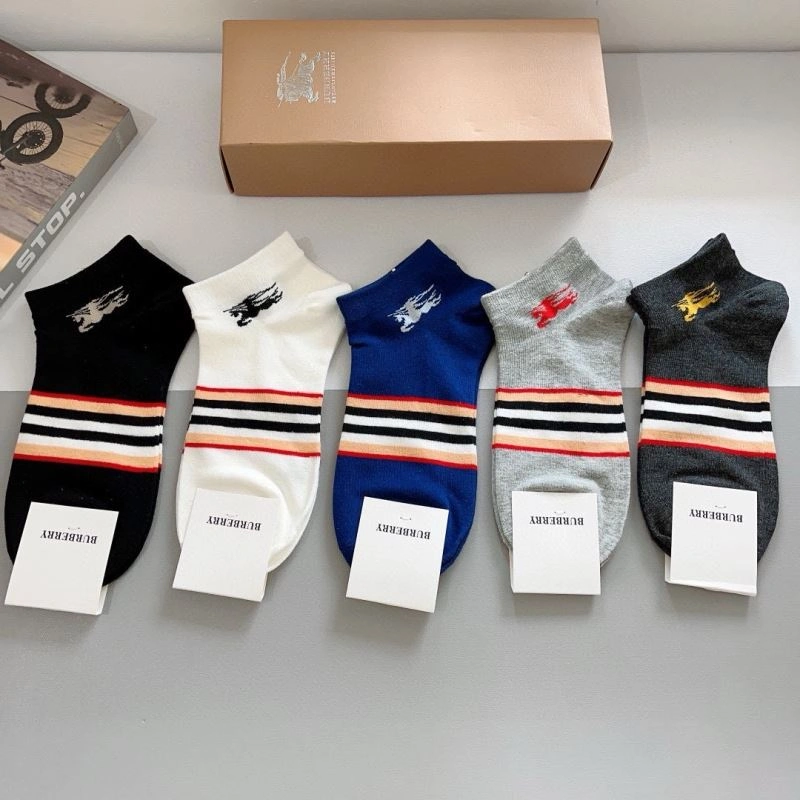 Lightweight Burberry Socks 273416