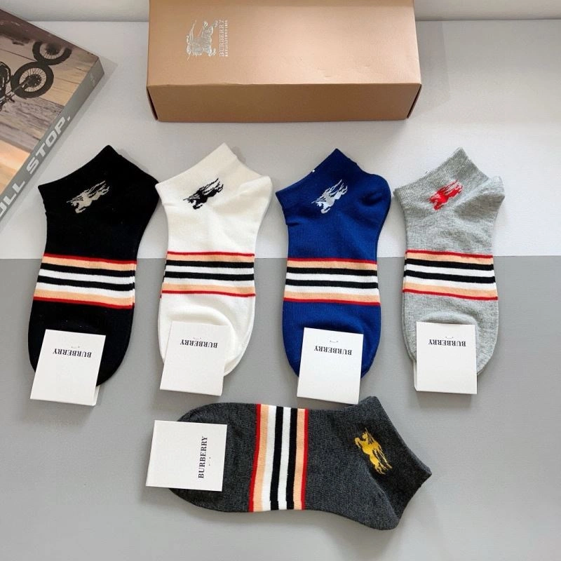 Lightweight Burberry Socks 273416