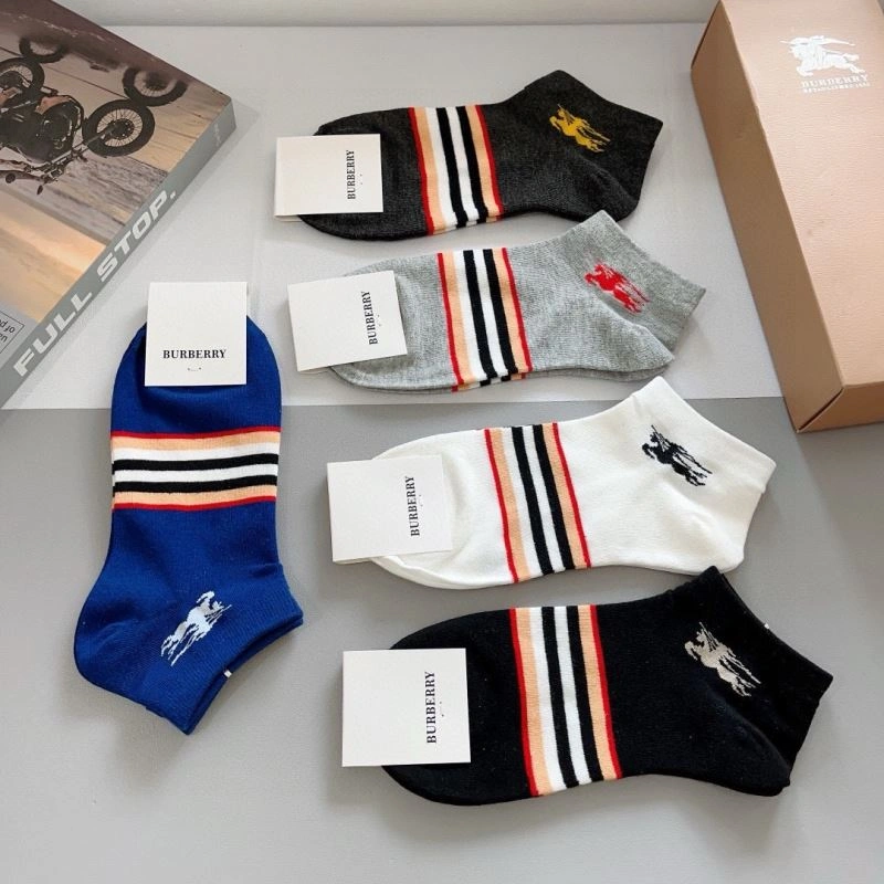 Lightweight Burberry Socks 273416