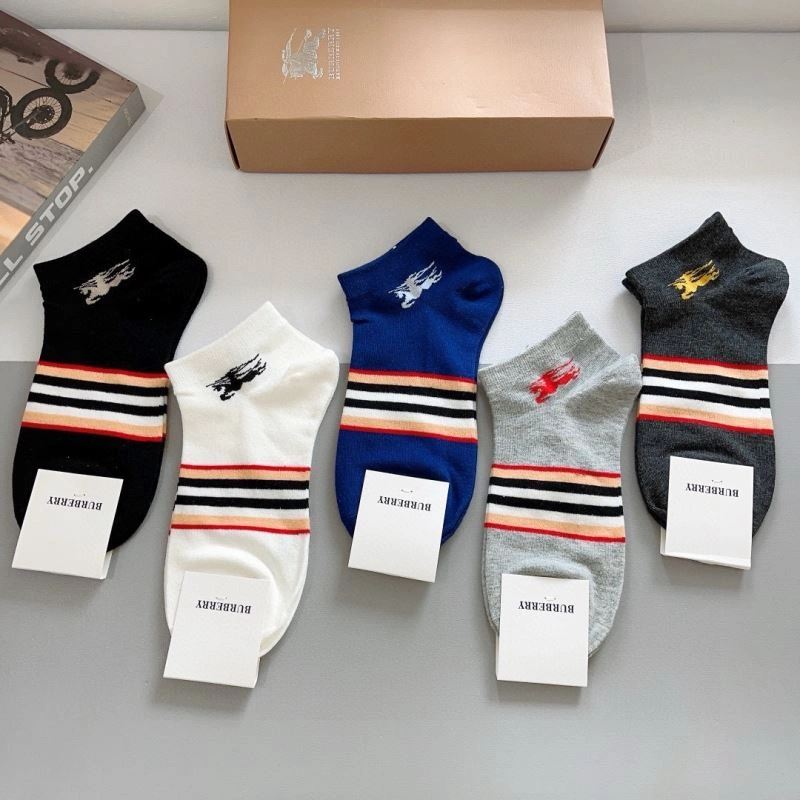 Lightweight Burberry Socks 273416