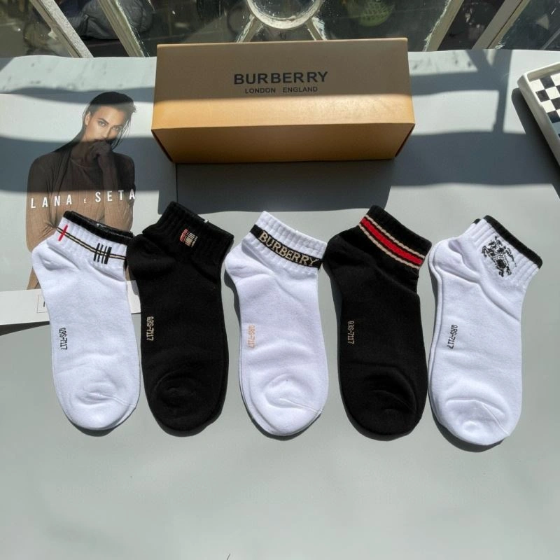 SmoothTexture Burberry Socks 274023