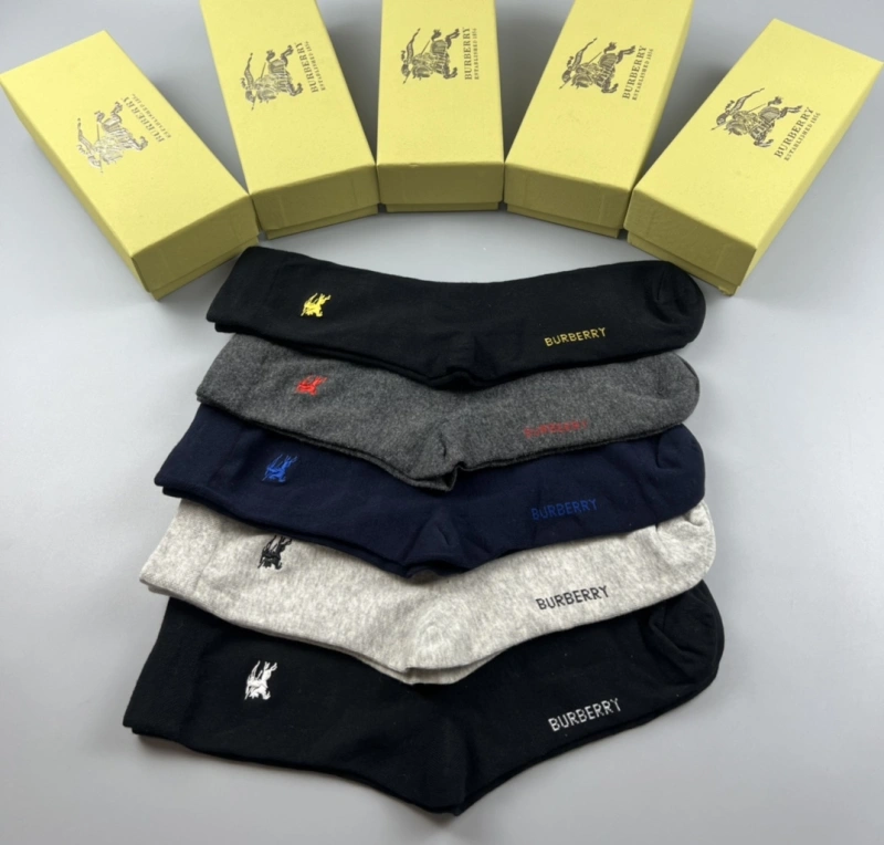 Elegant Burberry Socks 274519