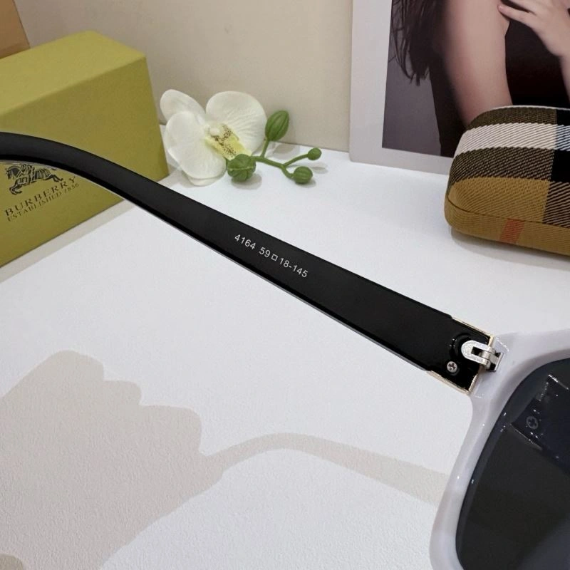 Burberry Sunglasses Timeless 277133