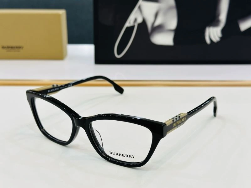 GoAnywhere Burberry Sunglasses 277200