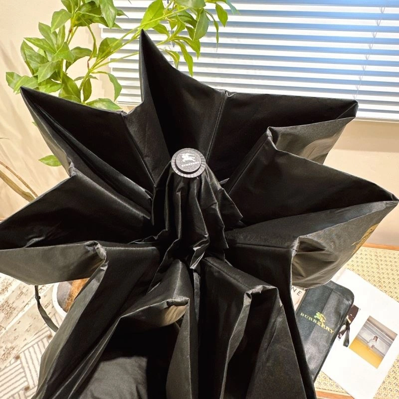 Colorful Burberry Umbrella 276188