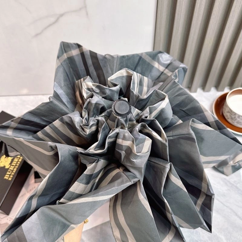 Burberry Umbrella Practical 276127