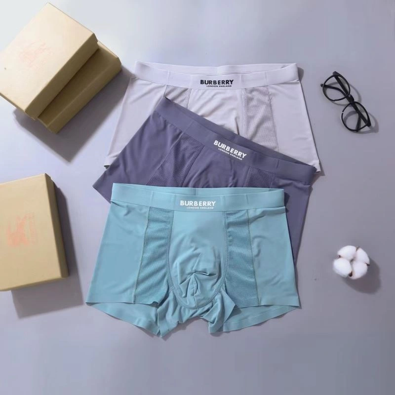Effortless Burberry Underwear 276836