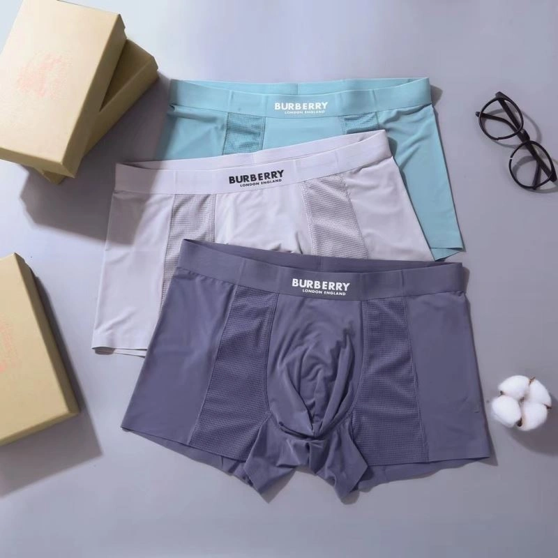 Effortless Burberry Underwear 276836