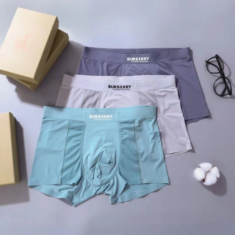 Effortless Burberry Underwear 276836