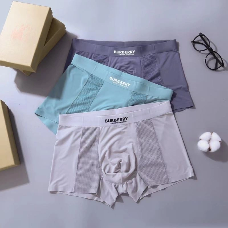 Effortless Burberry Underwear 276836