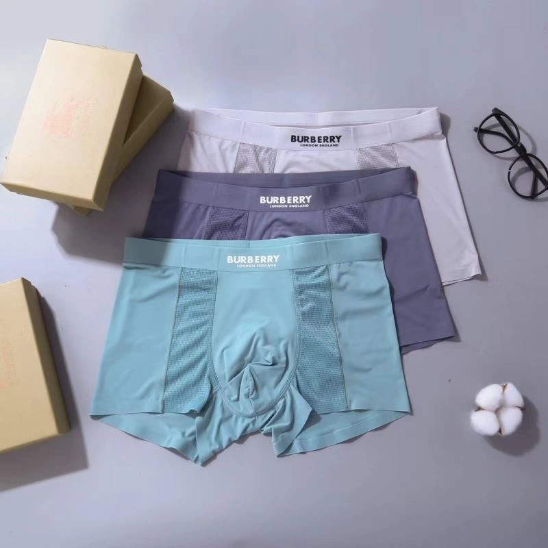 Effortless Burberry Underwear 276836