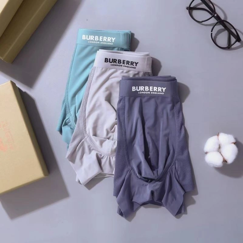 Effortless Burberry Underwear 276836