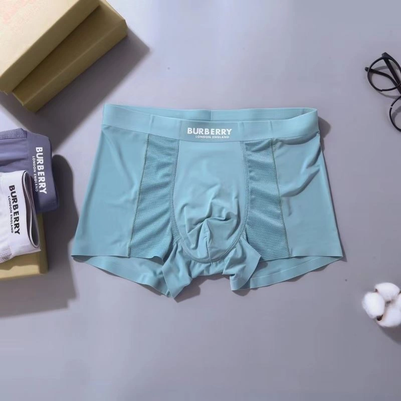 Effortless Burberry Underwear 276836