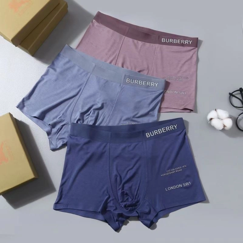 Burberry Underwear SmartChoice 276833