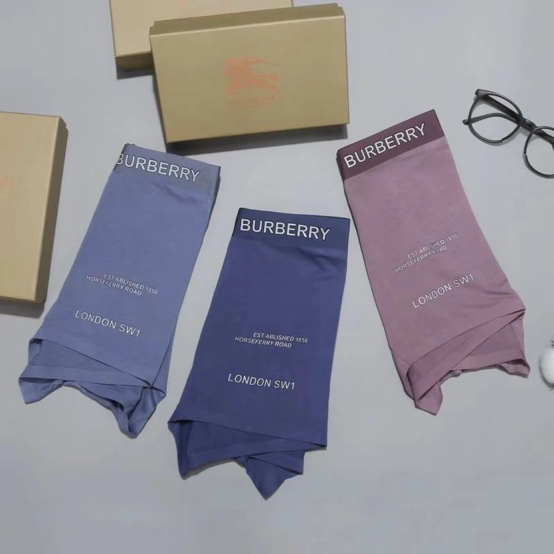 Burberry Underwear SmartChoice 276833