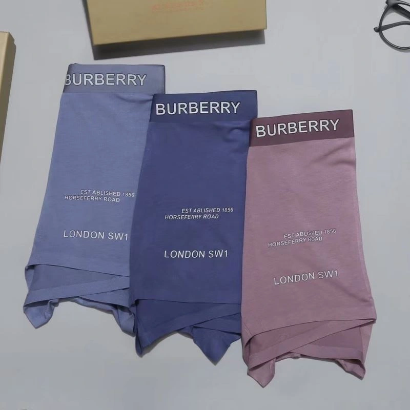 Burberry Underwear SmartChoice 276833