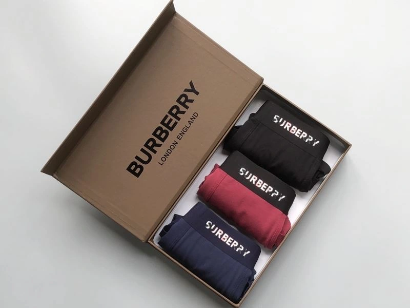 Burberry Underwear TimelessDesign 276832