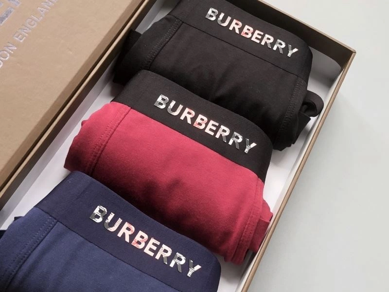 Burberry Underwear TimelessDesign 276832