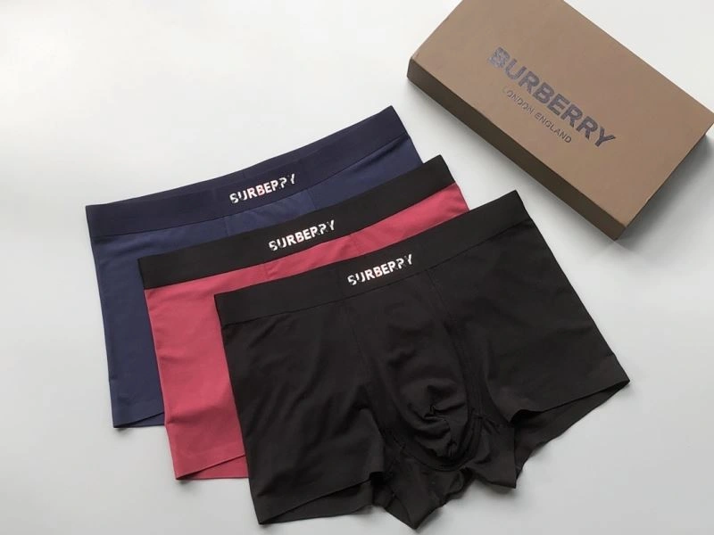 Burberry Underwear TimelessDesign 276832