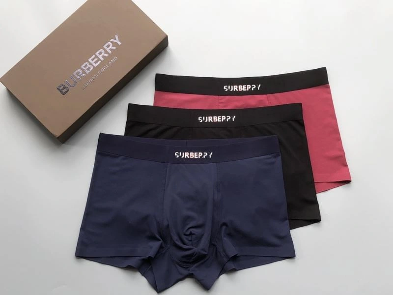 Burberry Underwear TimelessDesign 276832