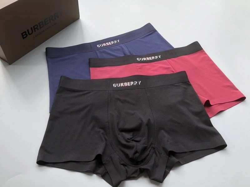 Burberry Underwear TimelessDesign 276832