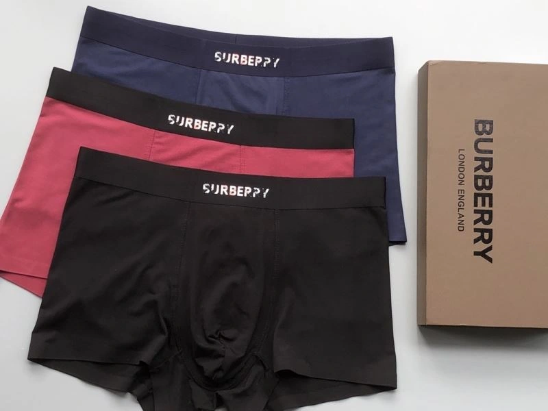 Burberry Underwear TimelessDesign 276832
