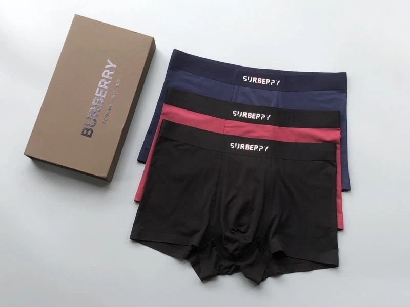 Burberry Underwear TimelessDesign 276832