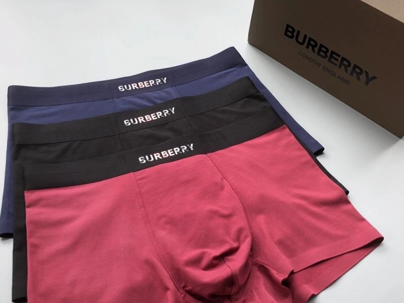 Burberry Underwear TimelessDesign 276832