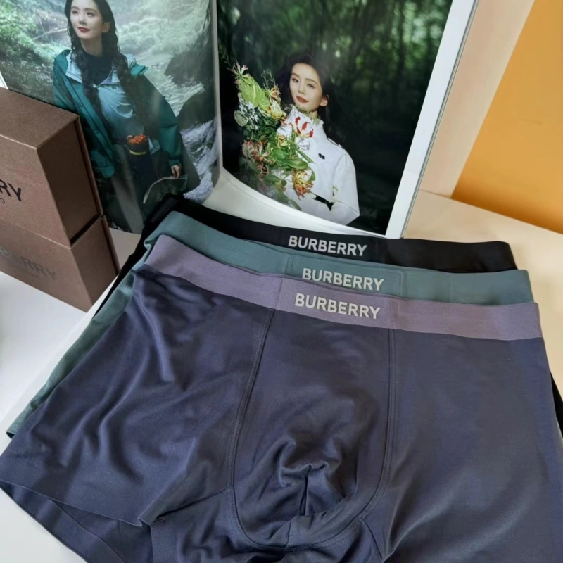 Burberry Underwear Original 276691