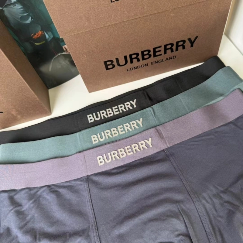 Burberry Underwear Original 276691