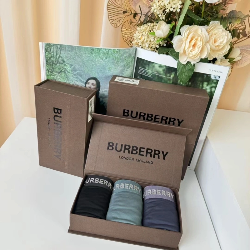Burberry Underwear Original 276691