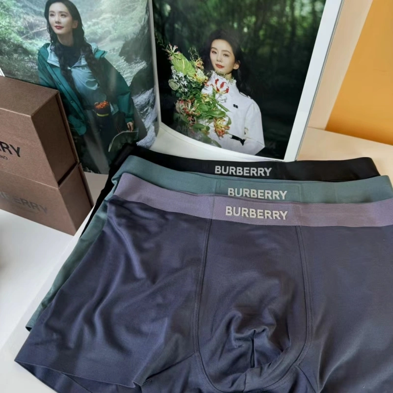 Burberry Underwear Original 276691
