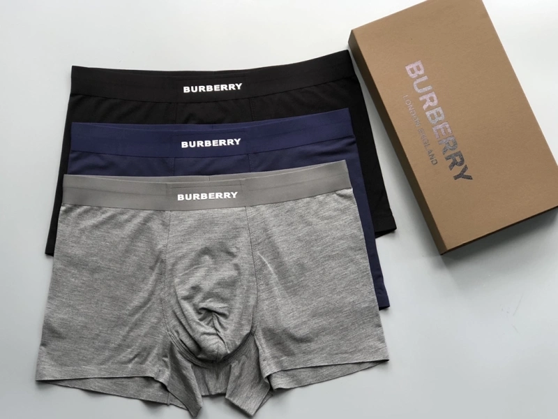Versatile Burberry Underwear 276688