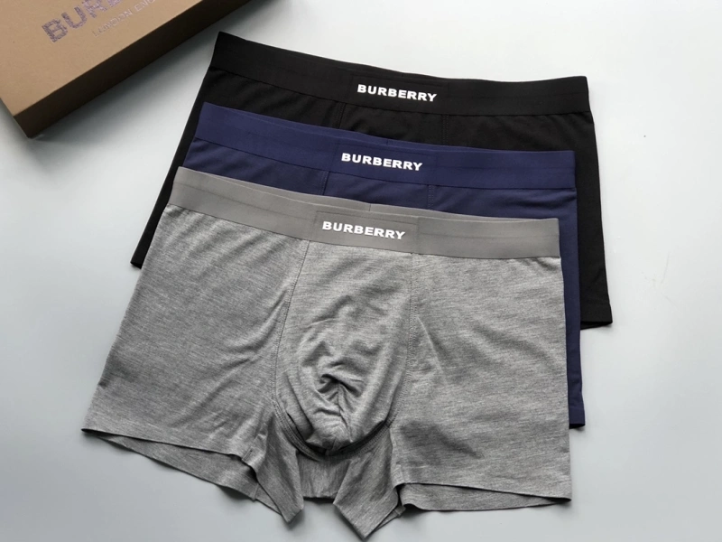 Versatile Burberry Underwear 276688