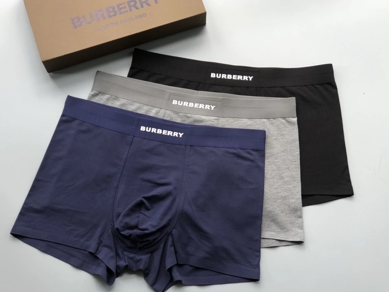 Versatile Burberry Underwear 276688