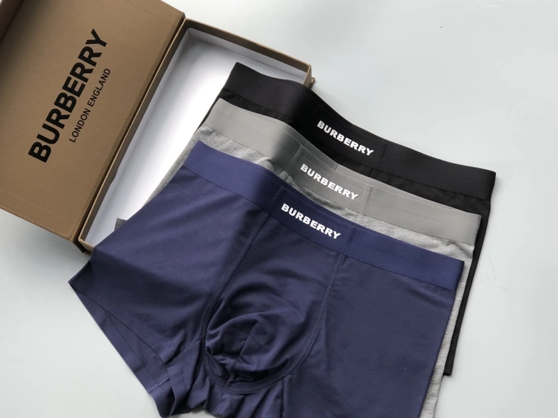Versatile Burberry Underwear 276688