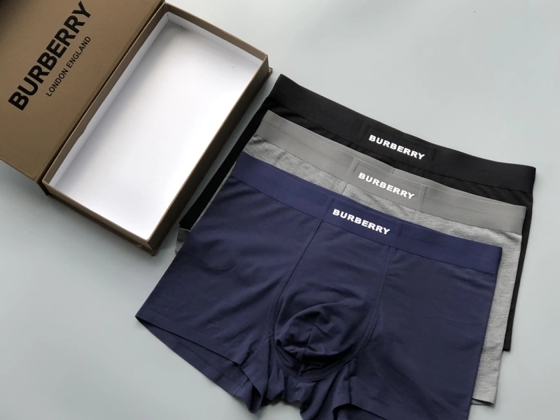 Versatile Burberry Underwear 276688