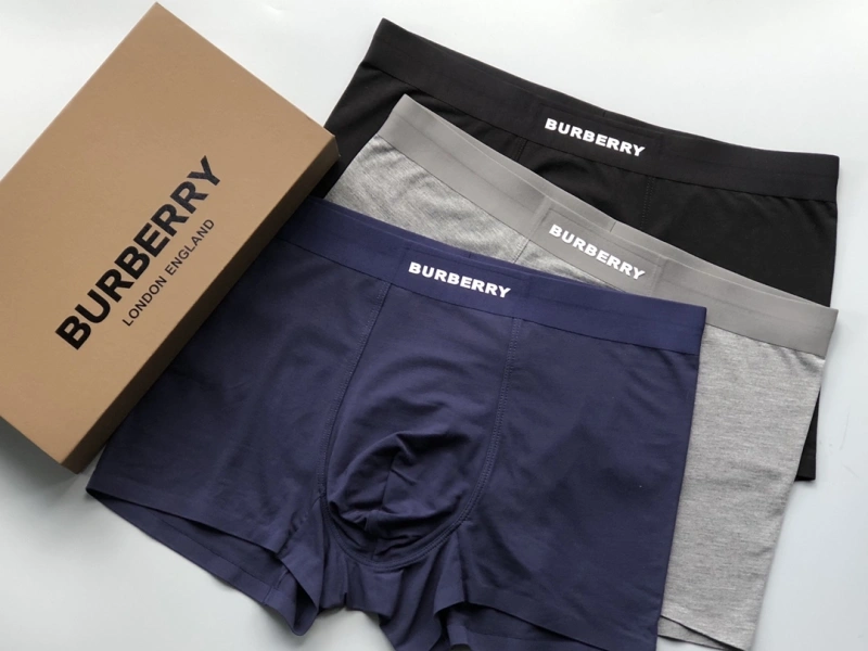 Versatile Burberry Underwear 276688