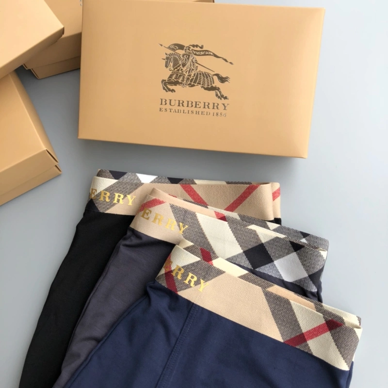 SoftTouch Burberry Underwear 276682
