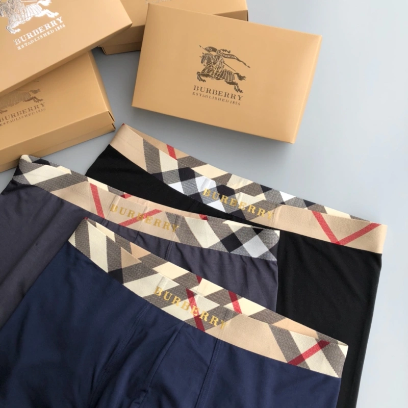 SoftTouch Burberry Underwear 276682