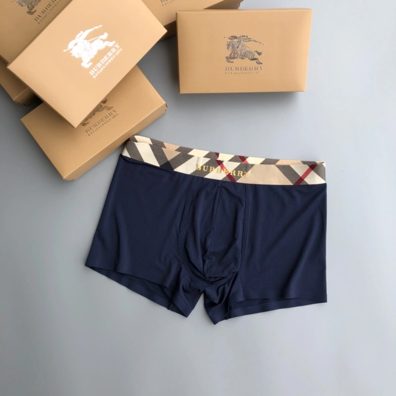 SoftTouch Burberry Underwear 276682