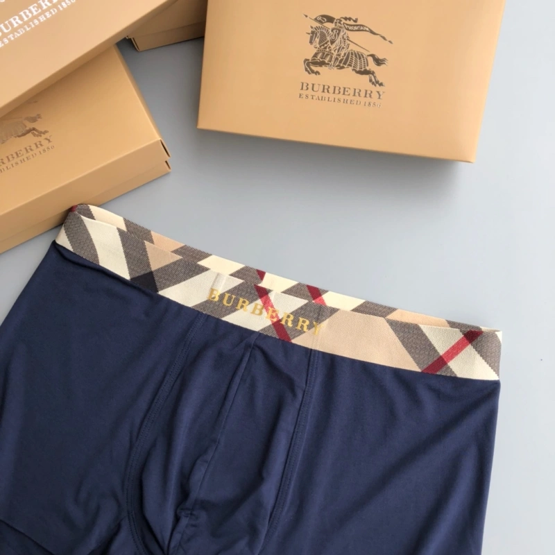 SoftTouch Burberry Underwear 276682