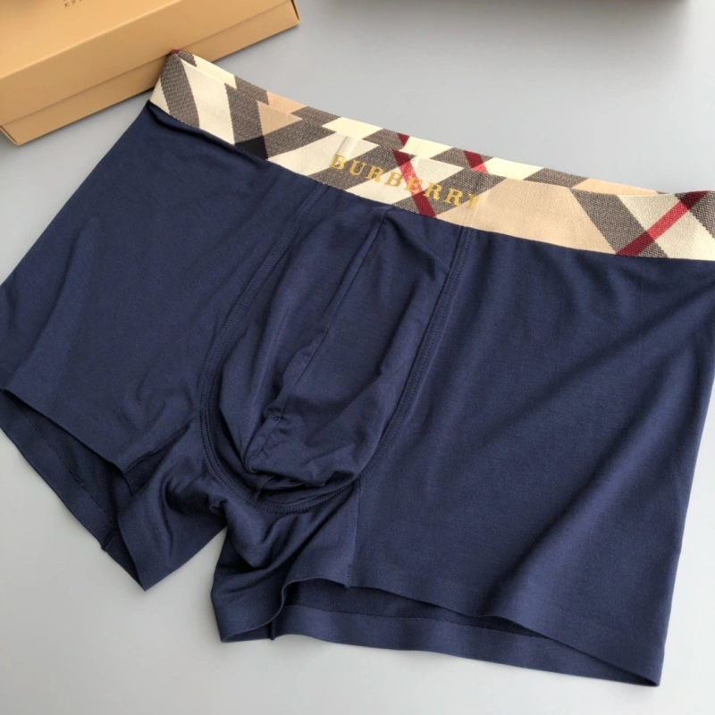 SoftTouch Burberry Underwear 276682