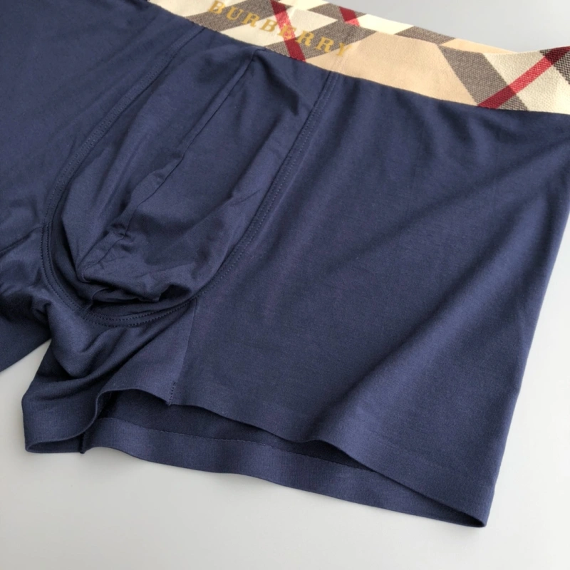 SoftTouch Burberry Underwear 276682