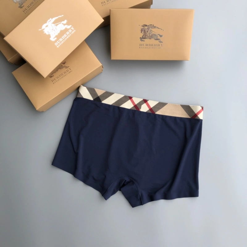 SoftTouch Burberry Underwear 276682