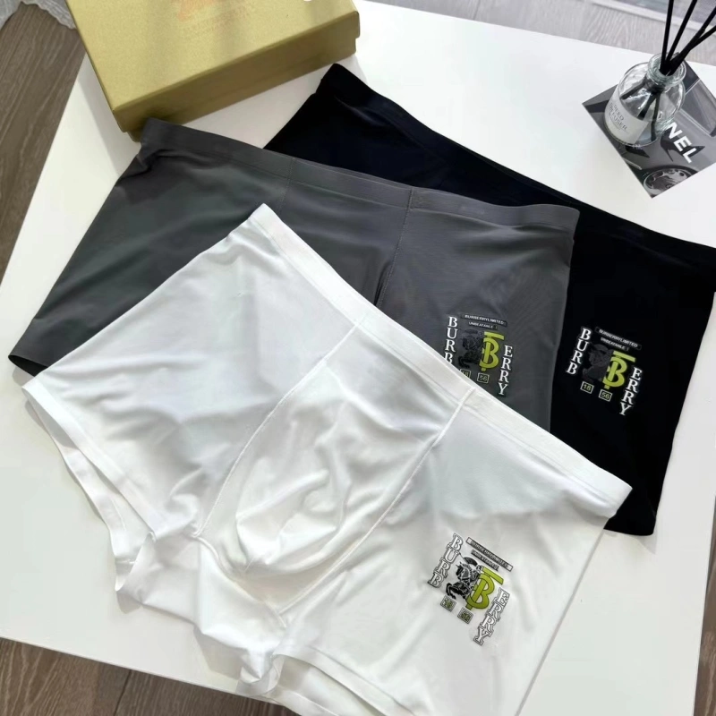 Burberry Underwear Lightweight 276701
