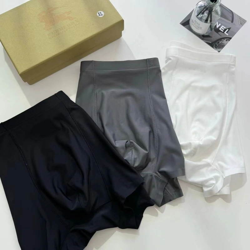 Burberry Underwear Lightweight 276701
