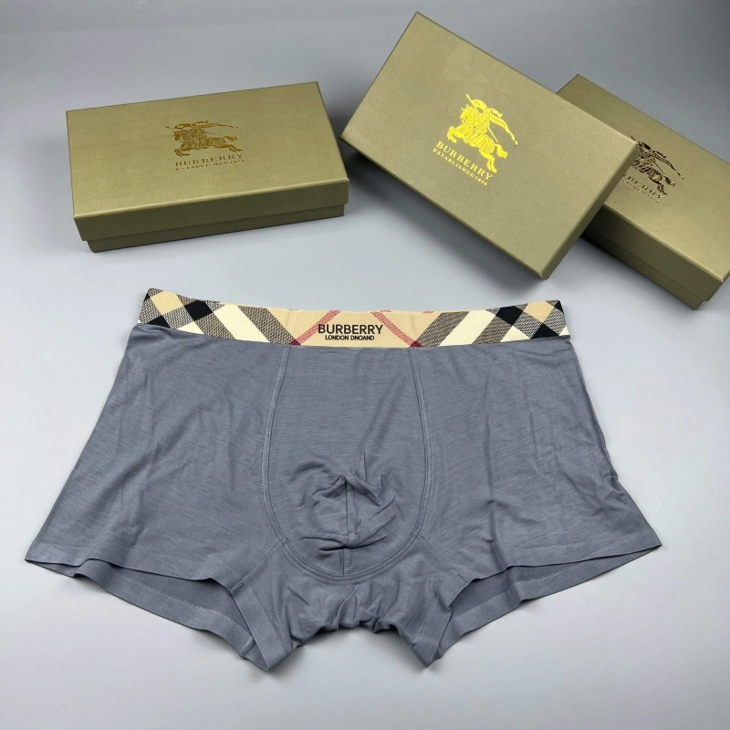 Burberry Underwear FashionForward 276679